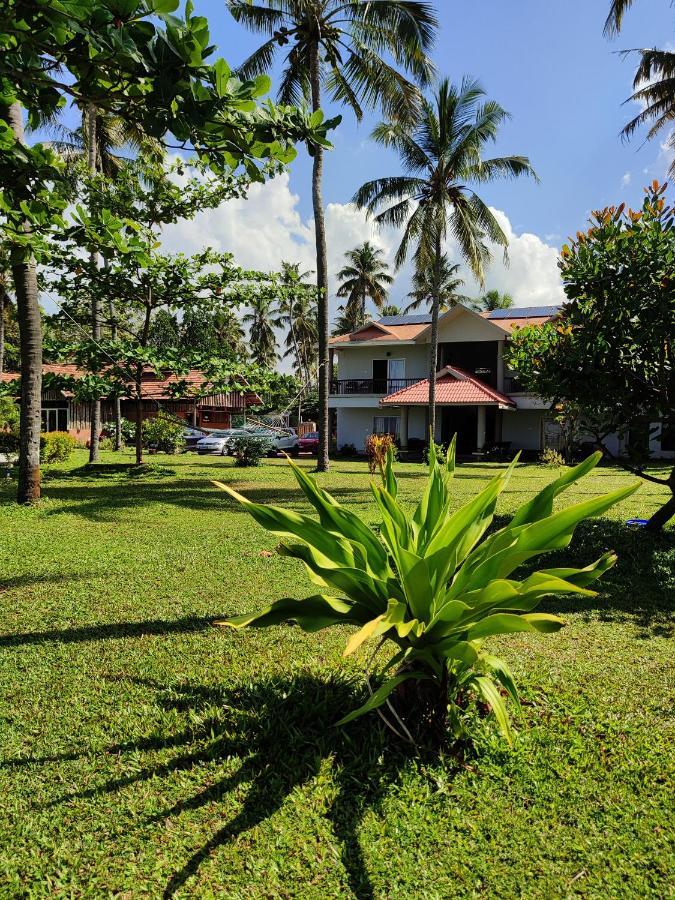 Pura Vida Varkala Hotel Kültér fotó
