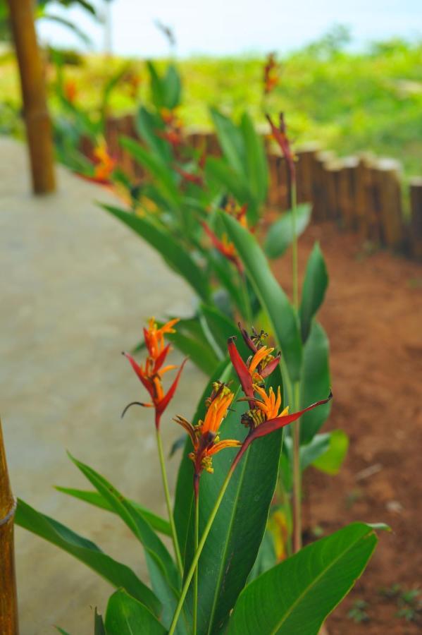 Pura Vida Varkala Hotel Kültér fotó